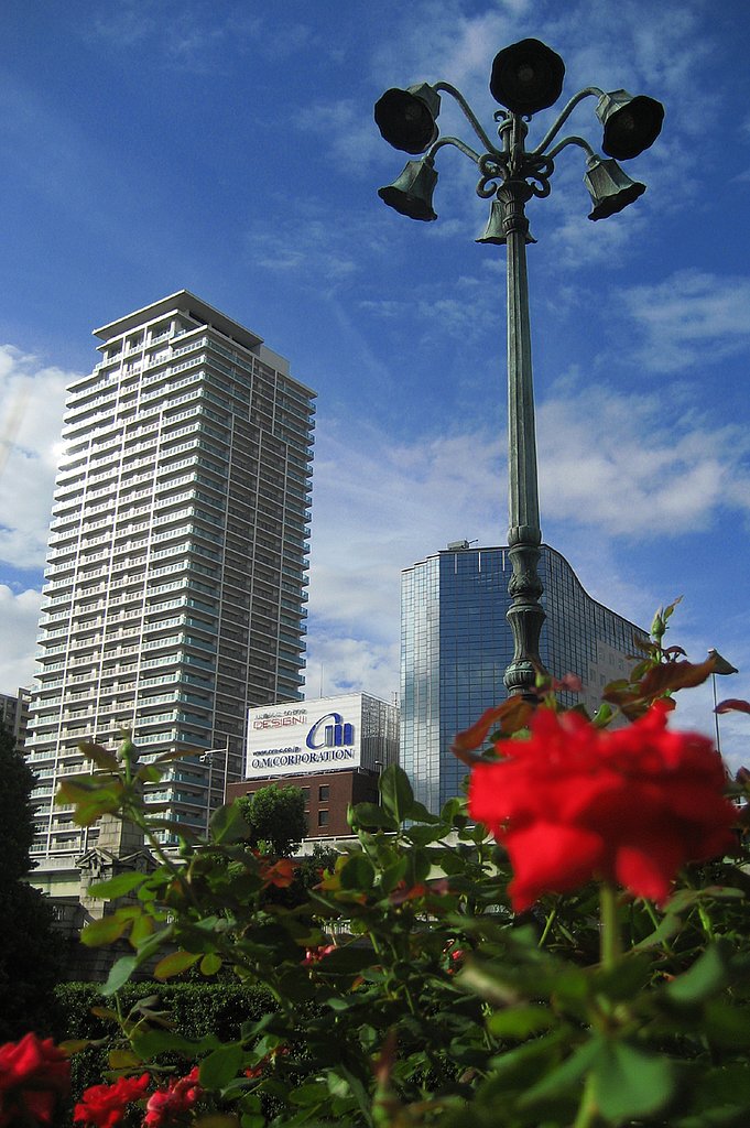 秋の空と赤い薔薇