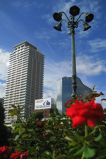 秋の空と赤い薔薇