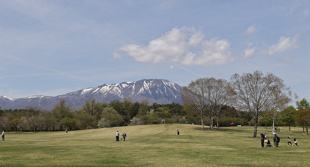 岩手の春だより（その５）牧草地の親子