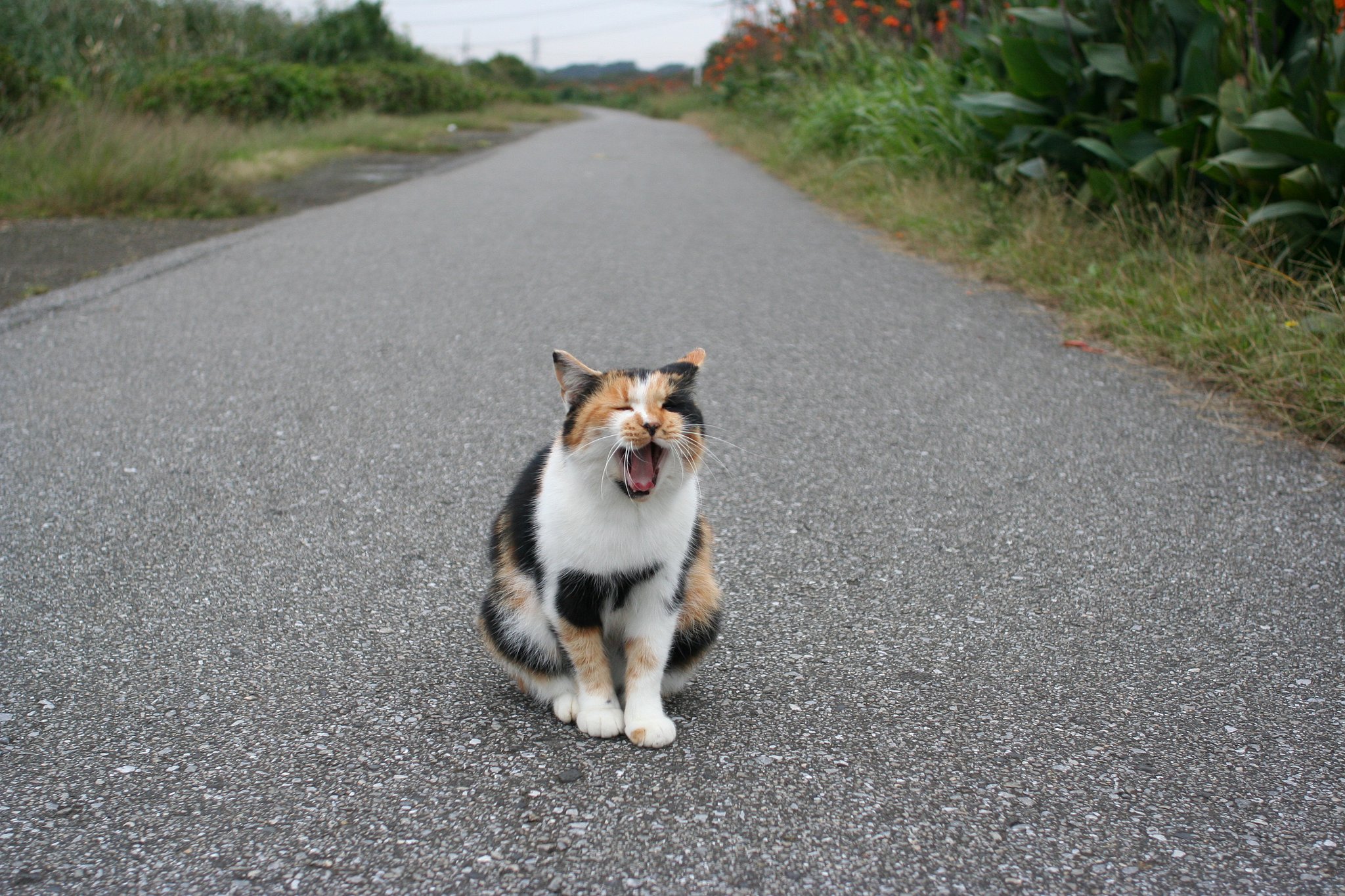 たいくつだなあ〜