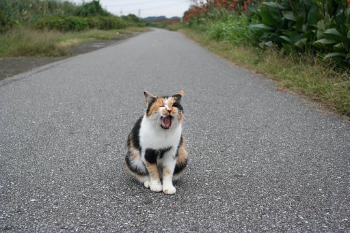 たいくつだなあ〜