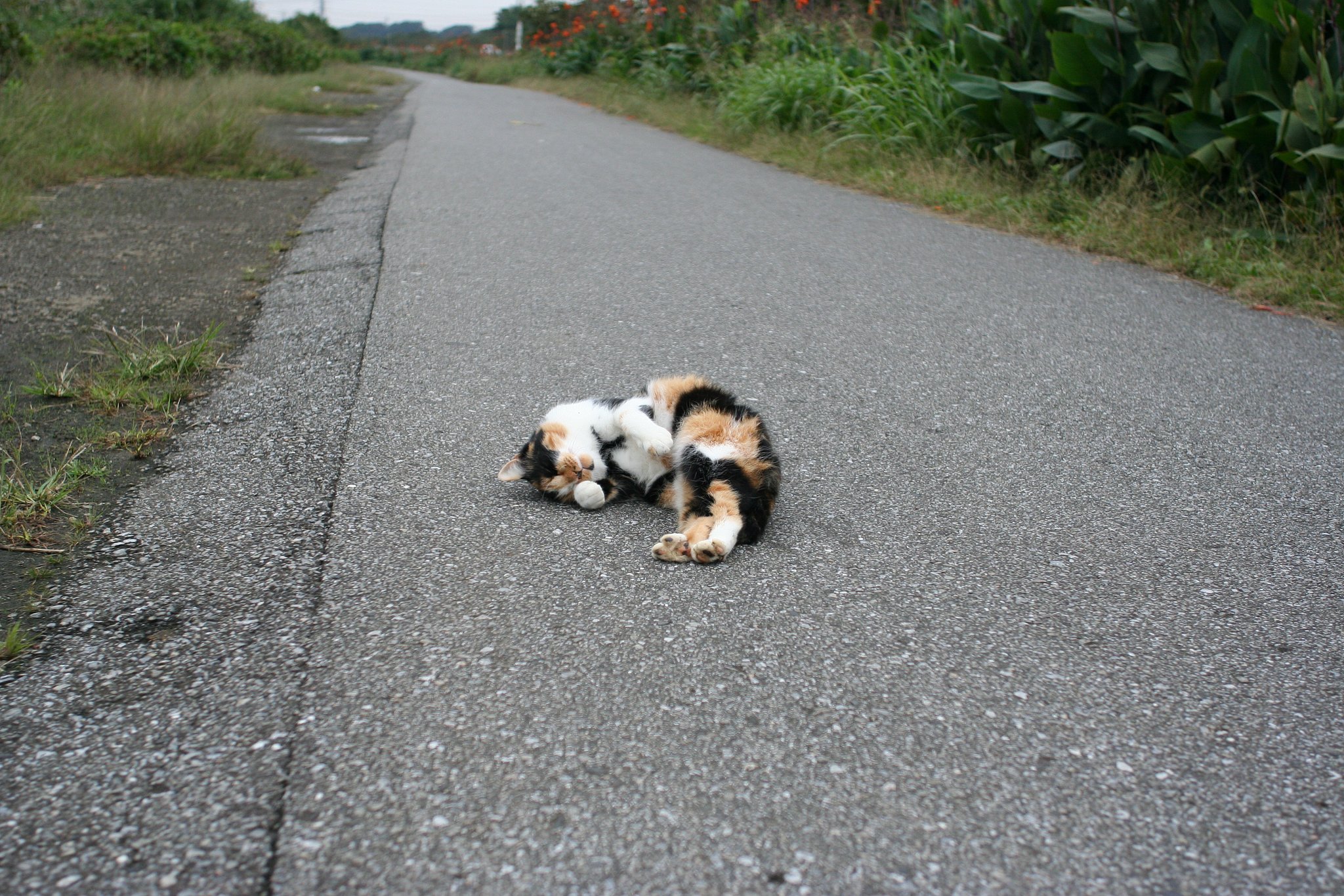 ご挨拶