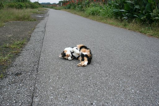 ご挨拶