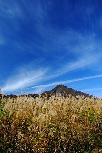 同じく 烏ヶ山