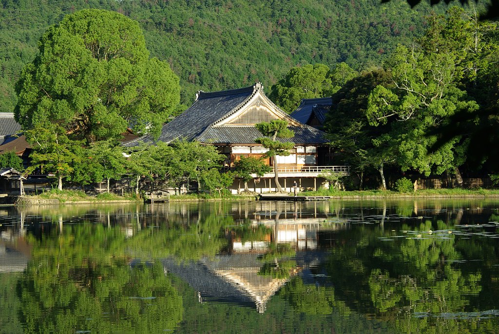 Forest and water, a la japonaise