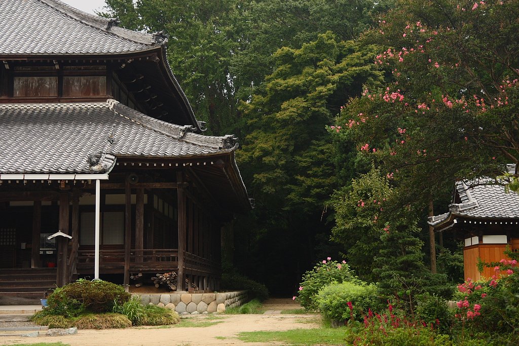 蓮花寺