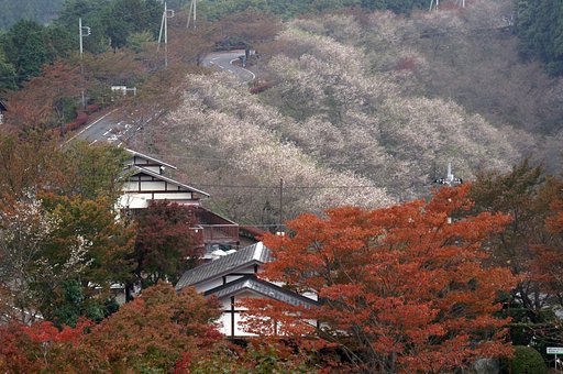 １０月の結果発表
