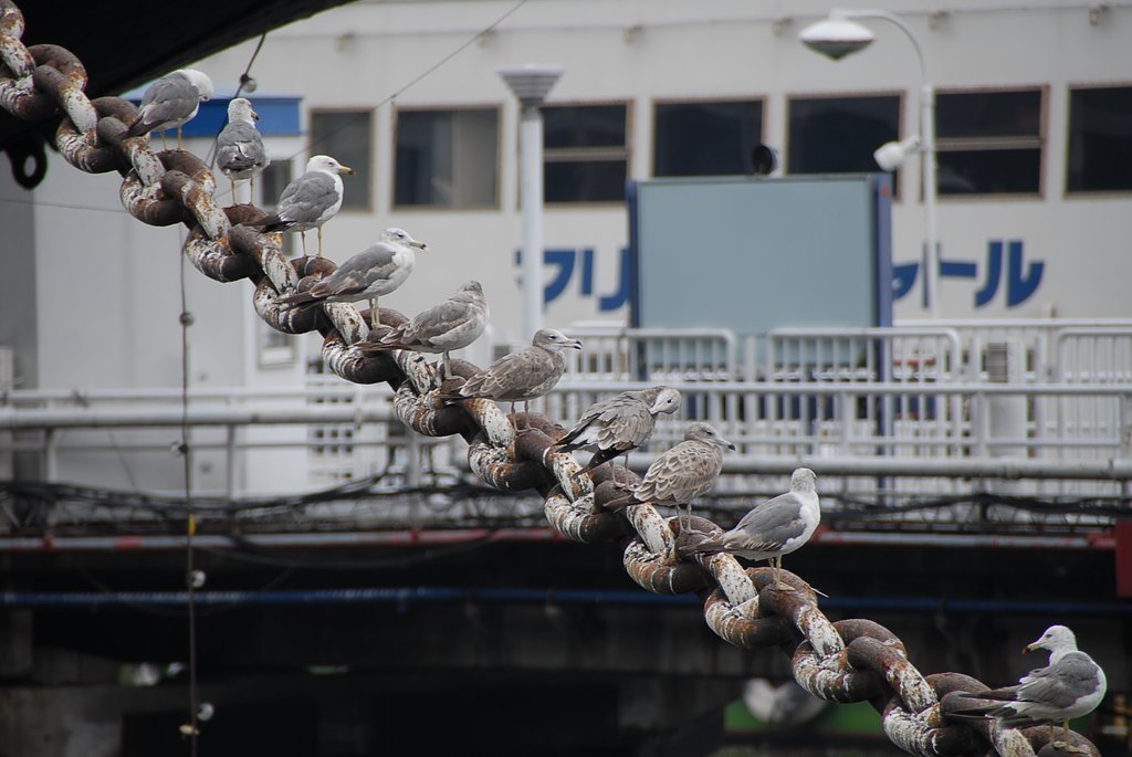 一列に並べって言ったのに、いつもこいつは反抗するし、どこ行った？