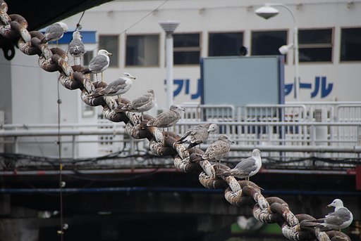 一列に並べって言ったのに、いつもこいつは反抗するし、どこ行った？