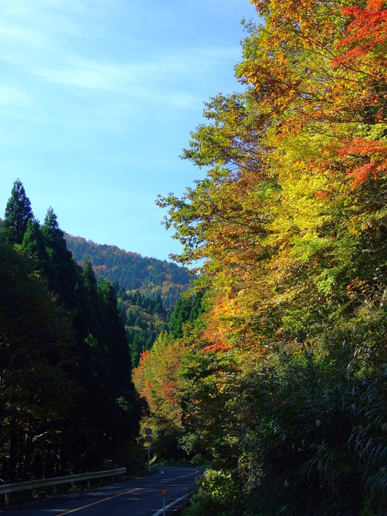 東側のスカイライン