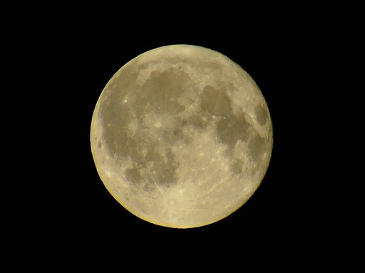 30日は、 満月(望)