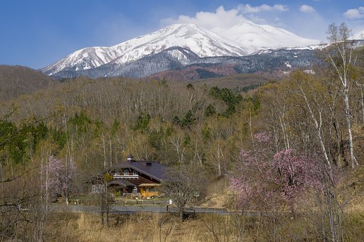 冬から春のグラデーション