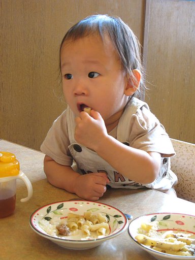 【食】する孫