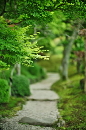 新緑の候