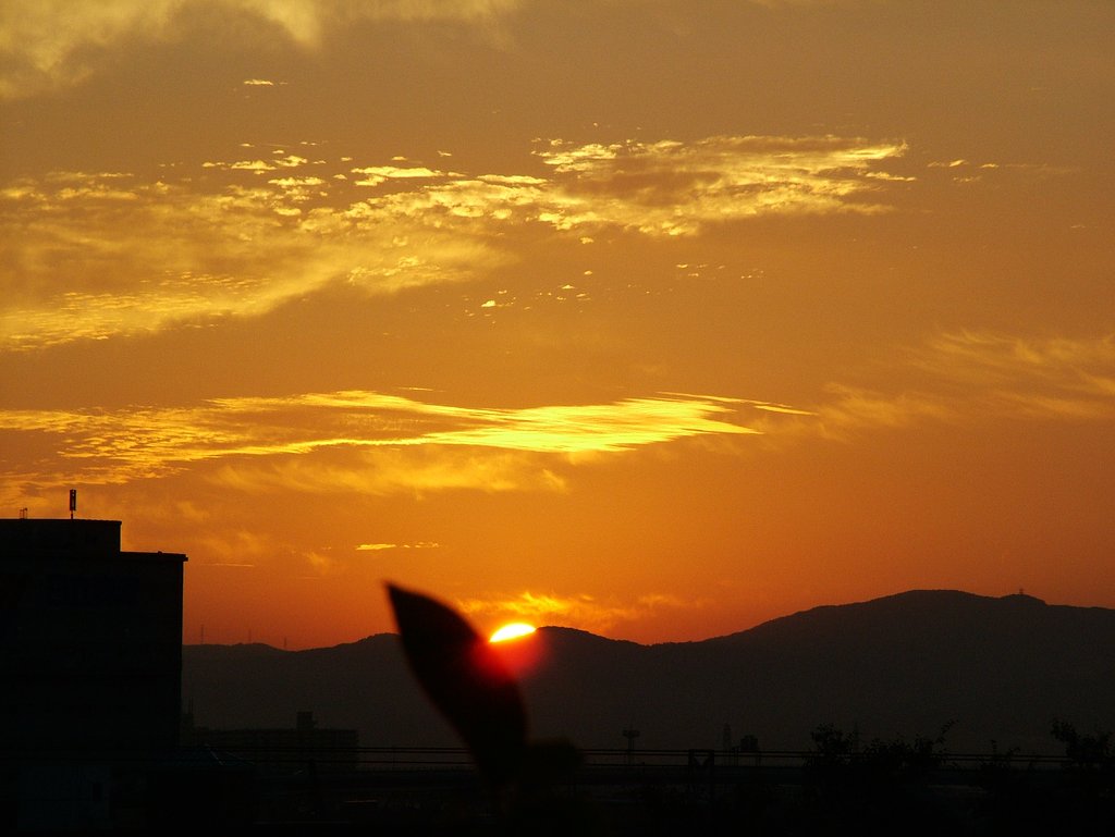 日の出