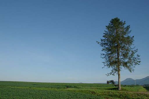 ニセコの風景１