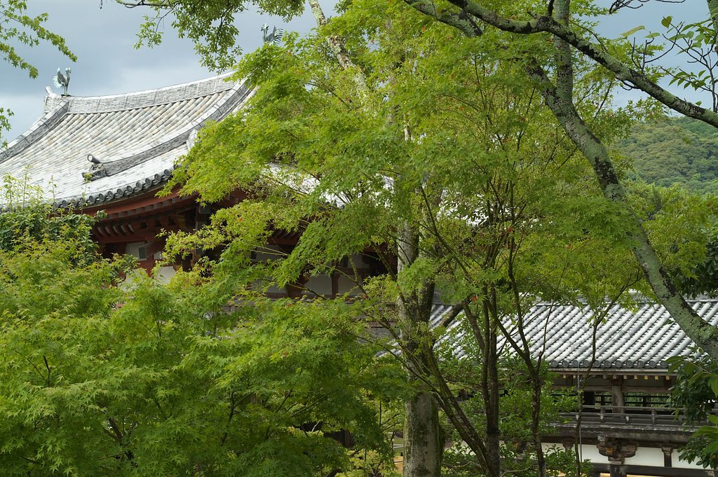平等院にて