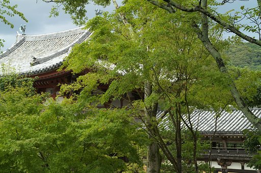 平等院にて