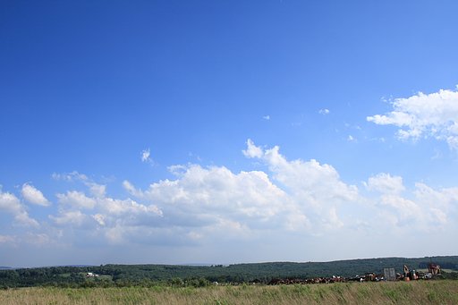 Shanksville 4