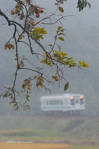 霧の中を・・