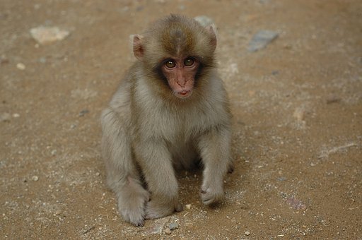おじちゃん、なにしてるの?