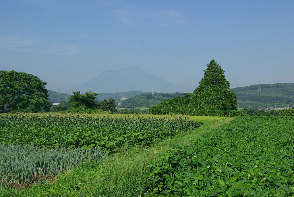 ニセコの風景４に良く似た岩手山