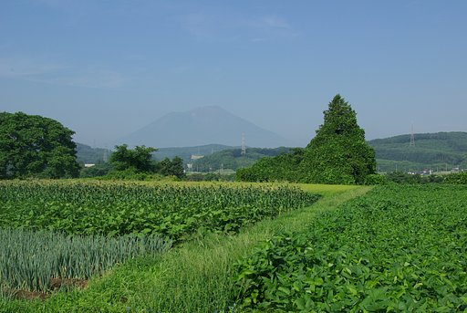 ニセコの風景４に良く似た岩手山