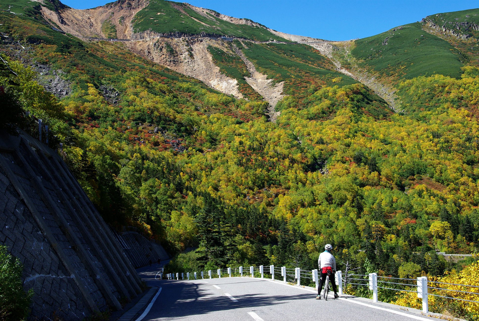 紅葉の中を走る