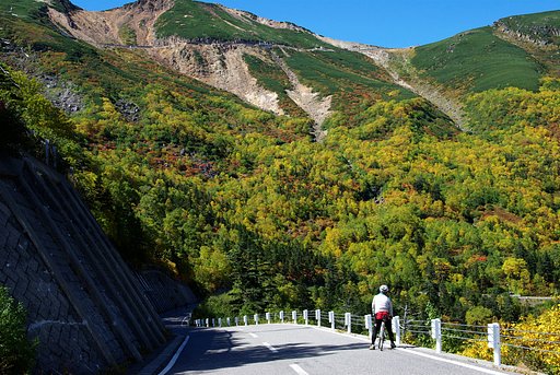 紅葉の中を走る