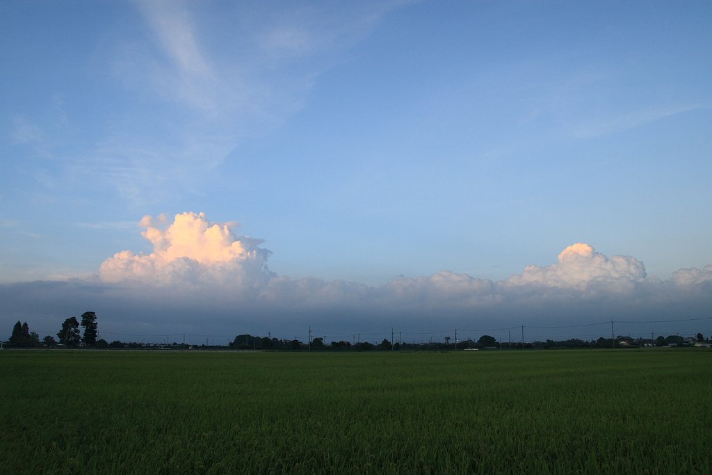 残夏