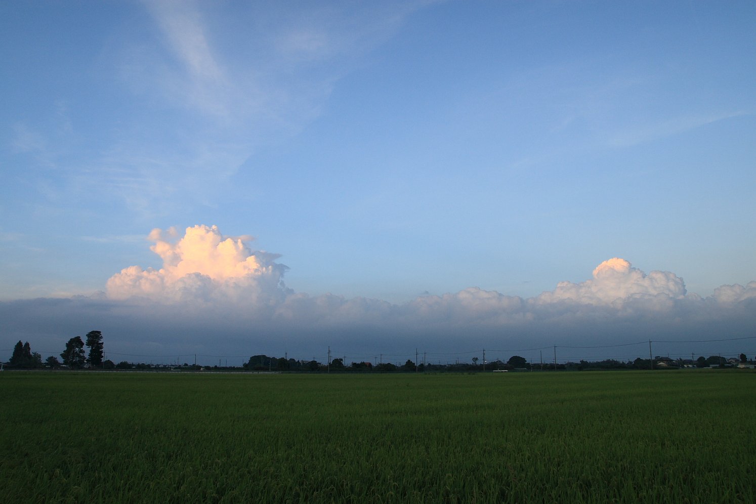 残夏
