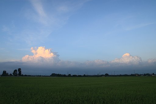 残夏