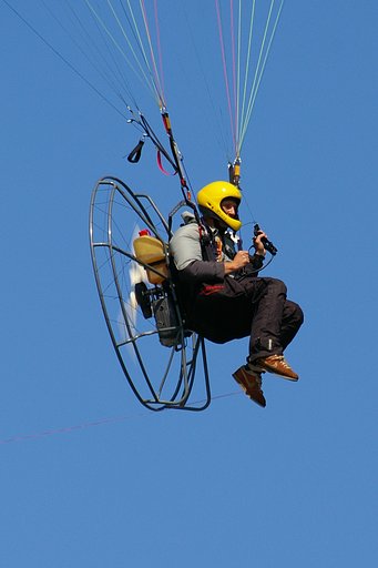 Mechanical bird