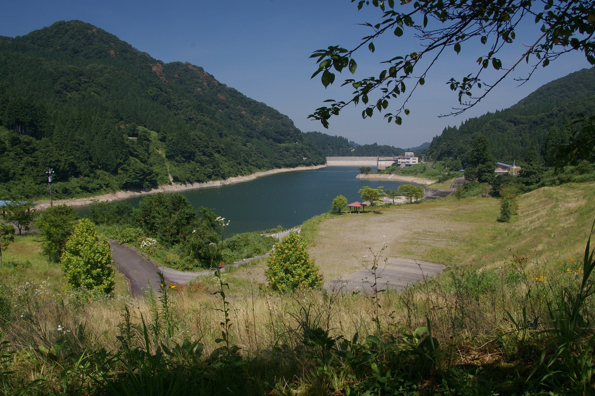ダム湖の夏