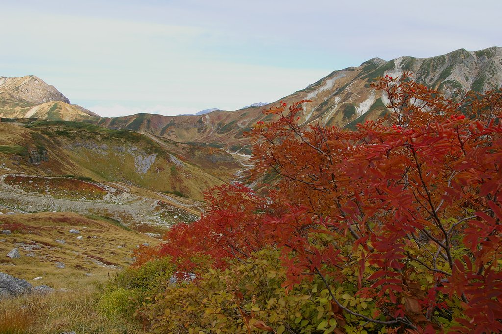 ナナカマドと立山連峰