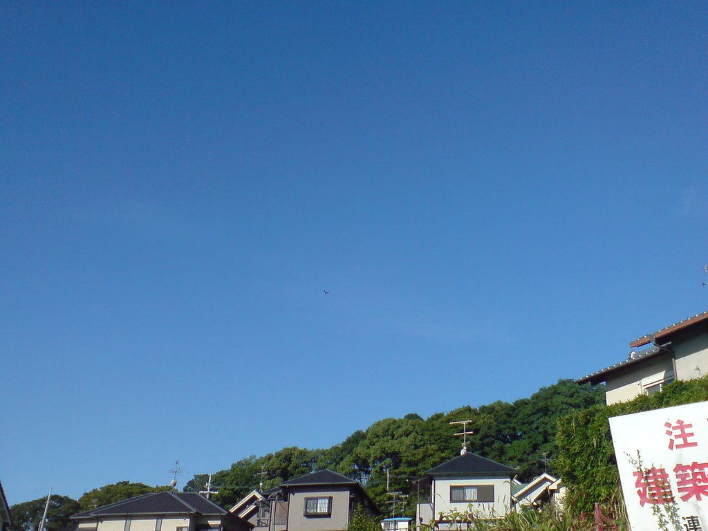 青空