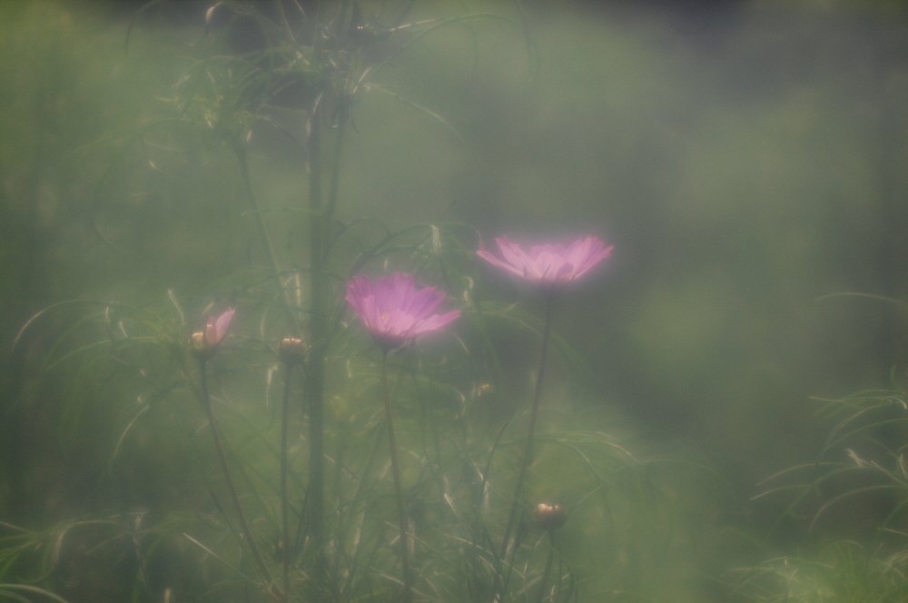 Hugo Meyer Casket ModelⅡ100mmF6.5