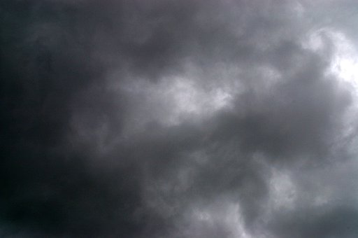 白黒では有りません・・・