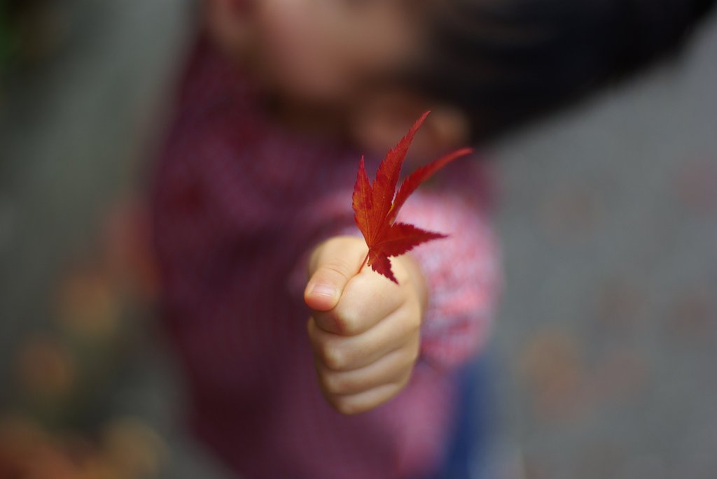 【記】紅葉