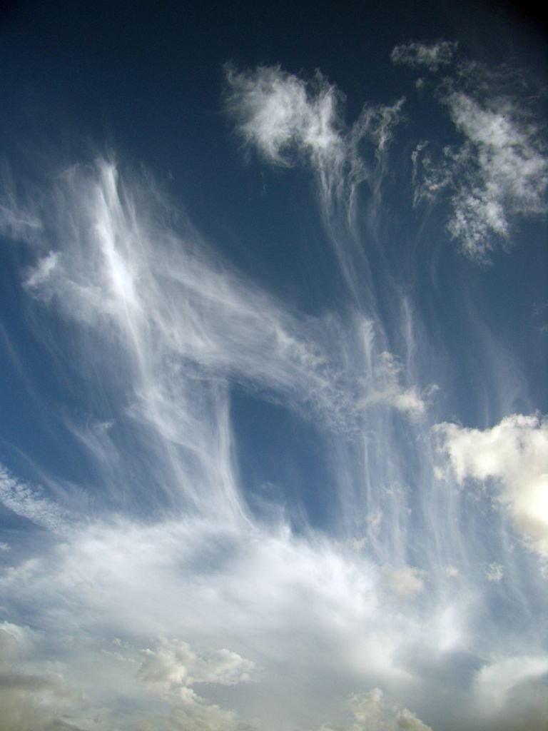 空のN