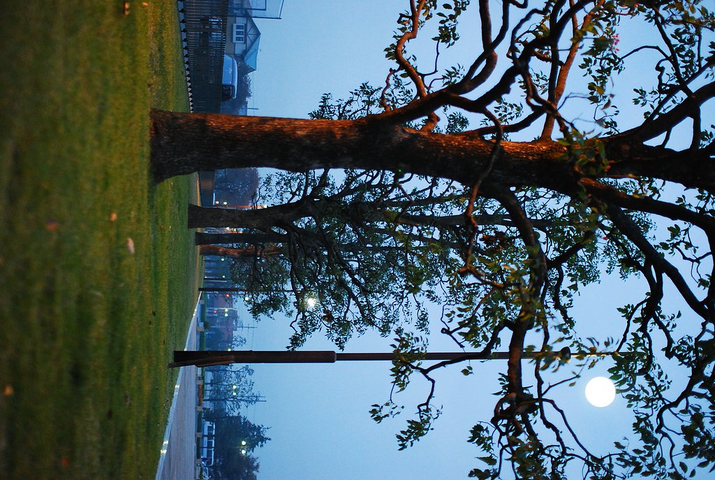 夕刻の公園