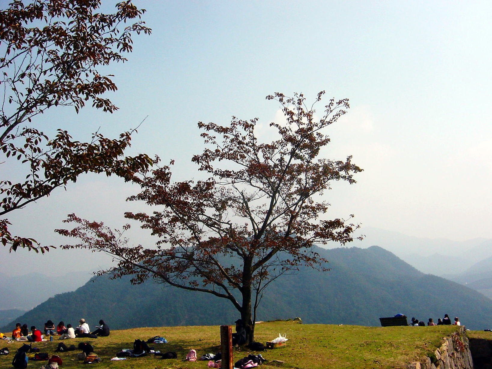 野外学習