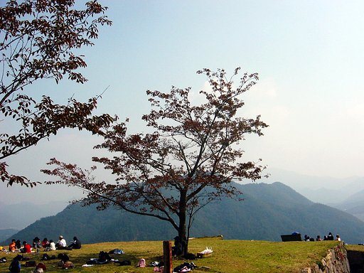 野外学習