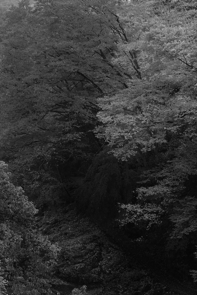 御岳3(marchi)