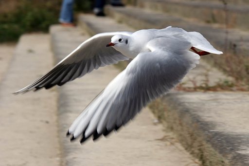 Take　off