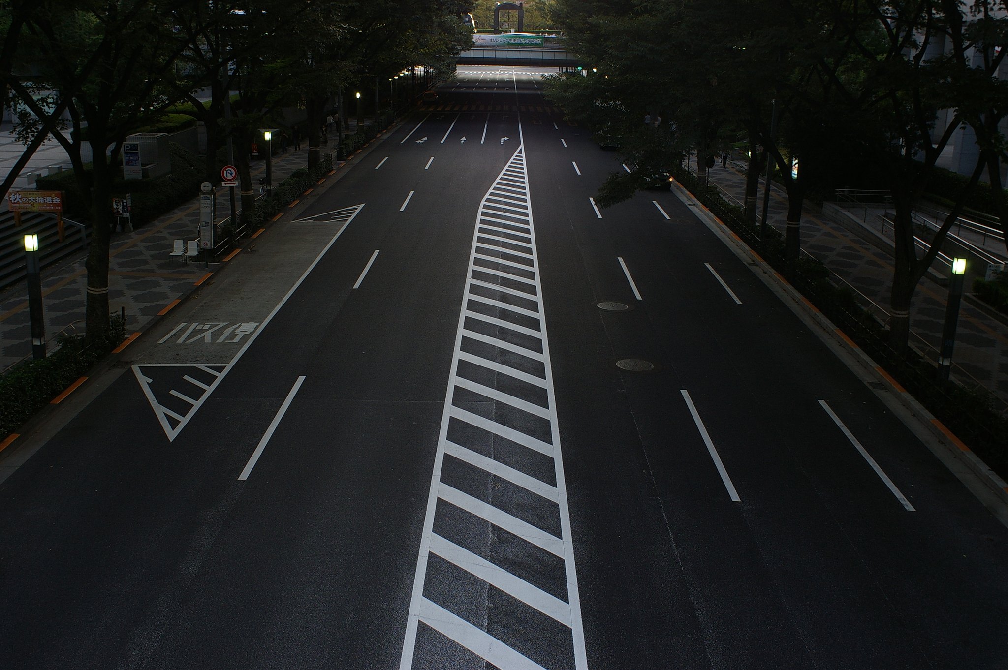 閑静なひととき