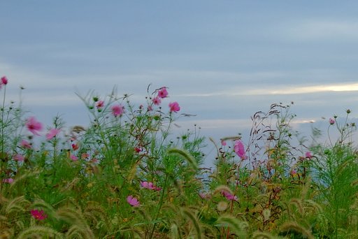 写真とつて歩く少し風ある風景