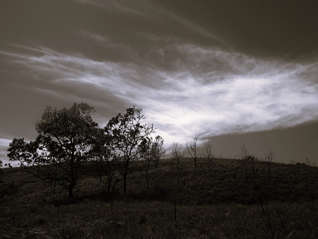 雲