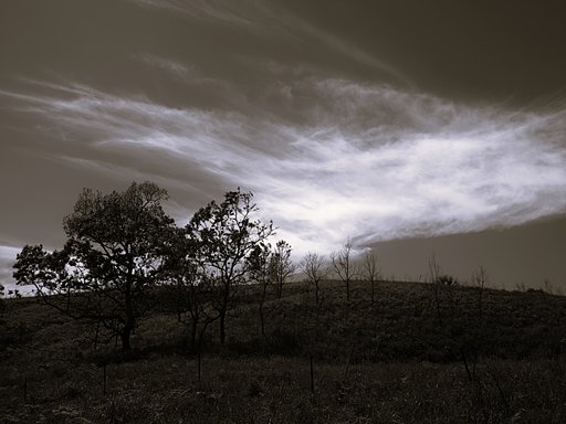 雲