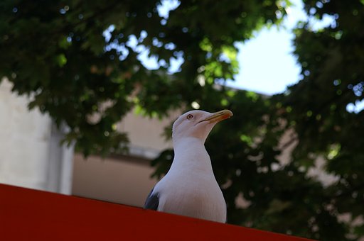 都市の肖像